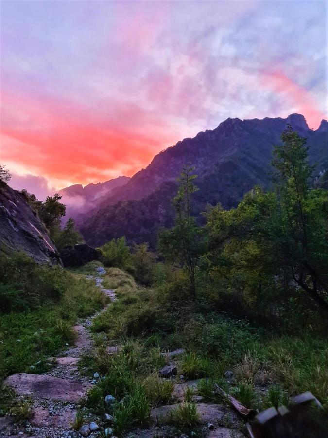 Incantevole Casa Sul Fiume, Relax E Natura Ai Piedi Della Alpi Apuane Massa  Exterior foto